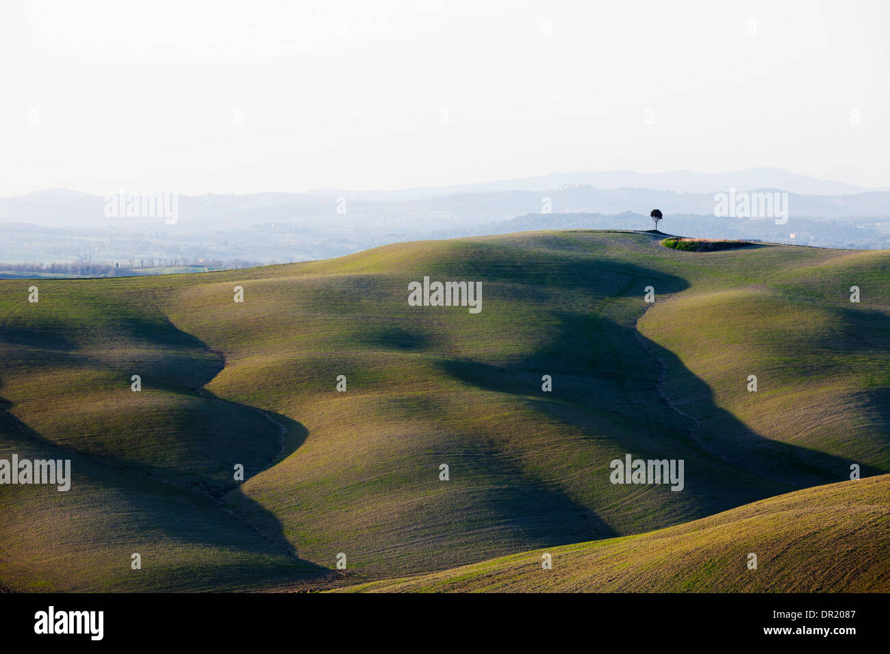 landscape, crete senesi, siena, tuscany, italy, europe Stock Photo
