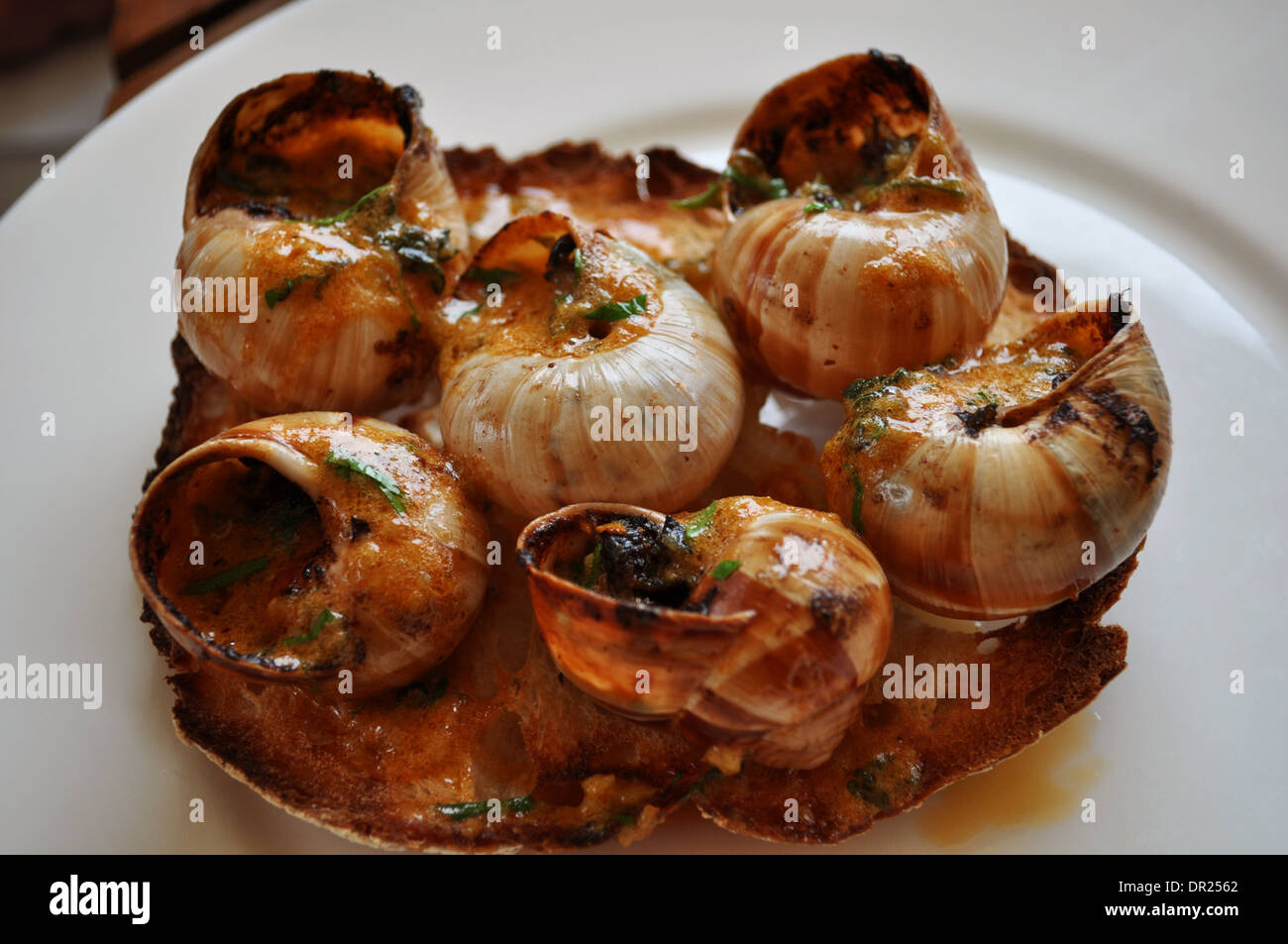 Escargot (snails) with garlic and tomato served on toasted sourdough