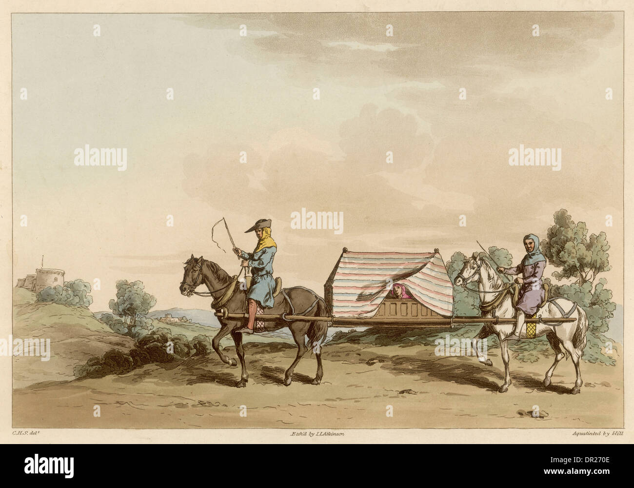 HORSE LITTER OF 1325 Stock Photo Alamy