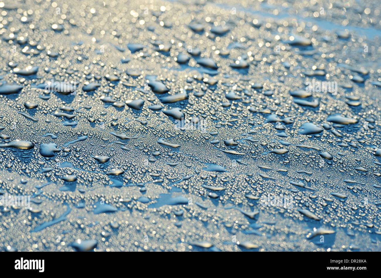 Clean car windshield with multiple water drops on after heavy rain and dew water  repellent surface treatment Stock Photo - Alamy