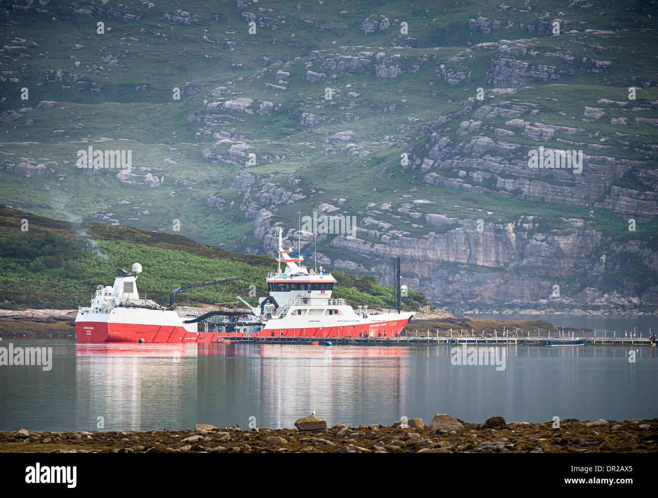 The Viktoria Viking, a Fish Carrier, at Salmon Pens in the Scottish Highlands. Stock Photo