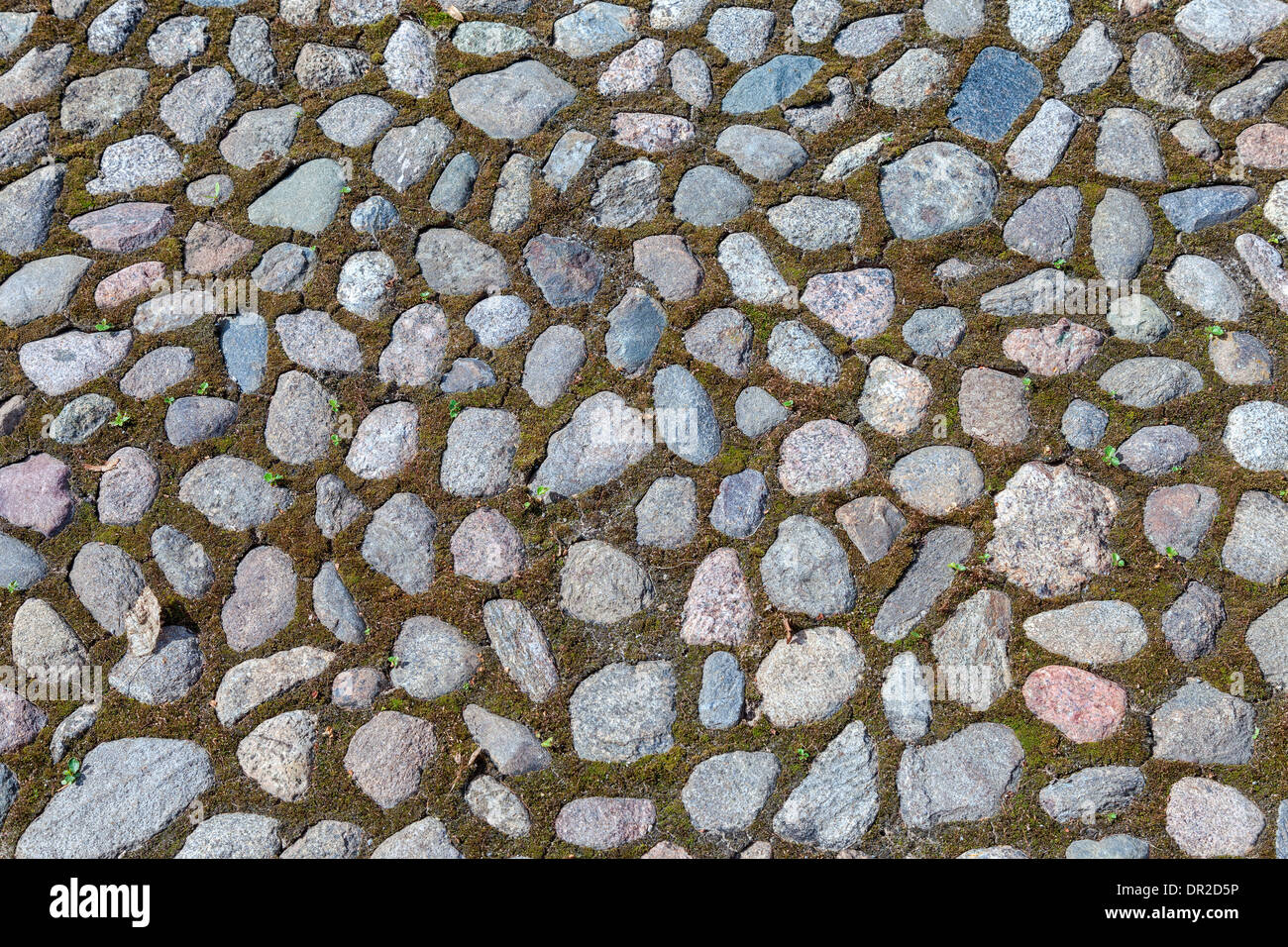 Old paved roadway as background Stock Photo