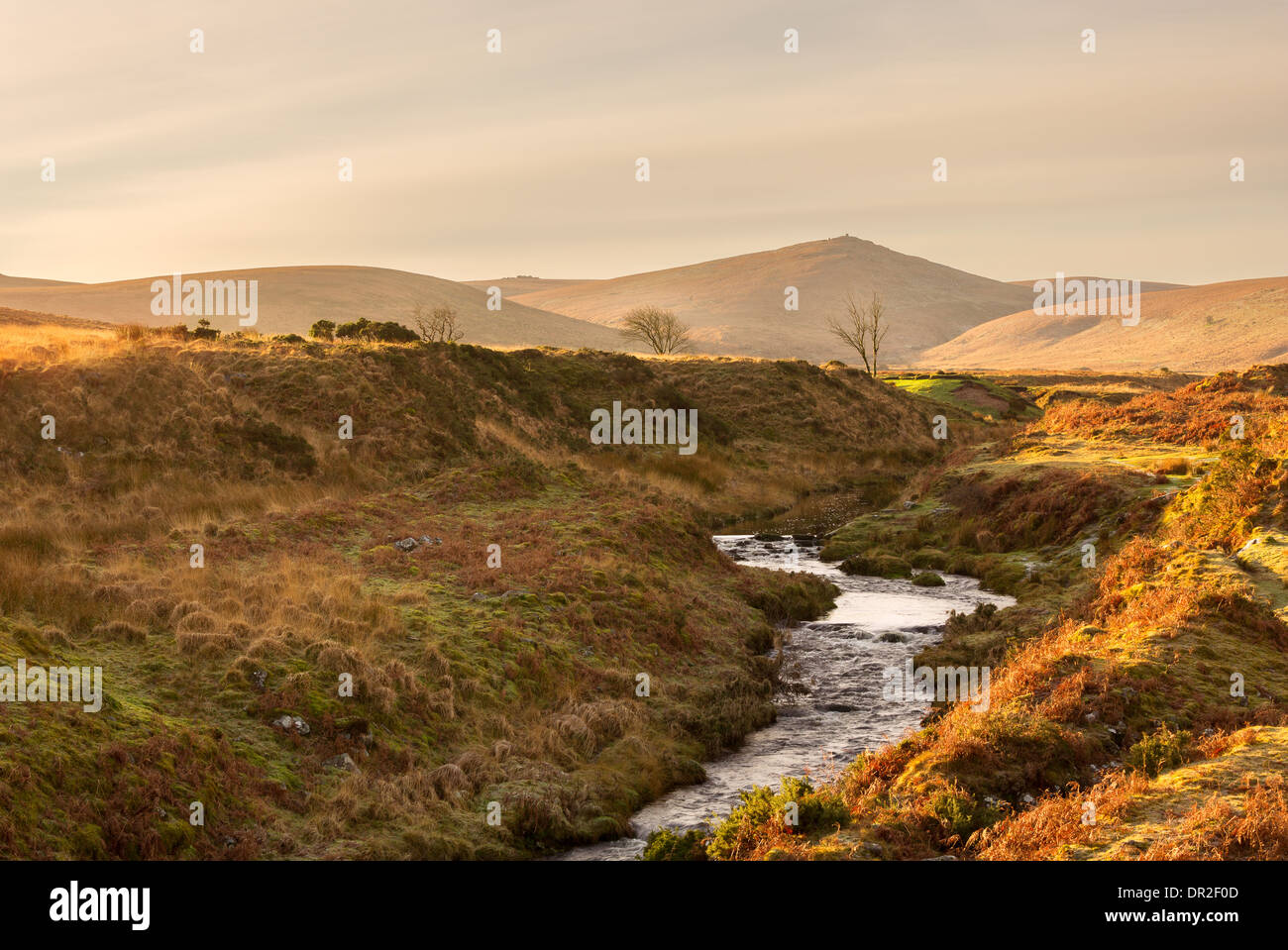 The river Taw flowing through Taw Marsh with views towards Steeperton Tor Dartmoor National Park Devon Uk Stock Photo