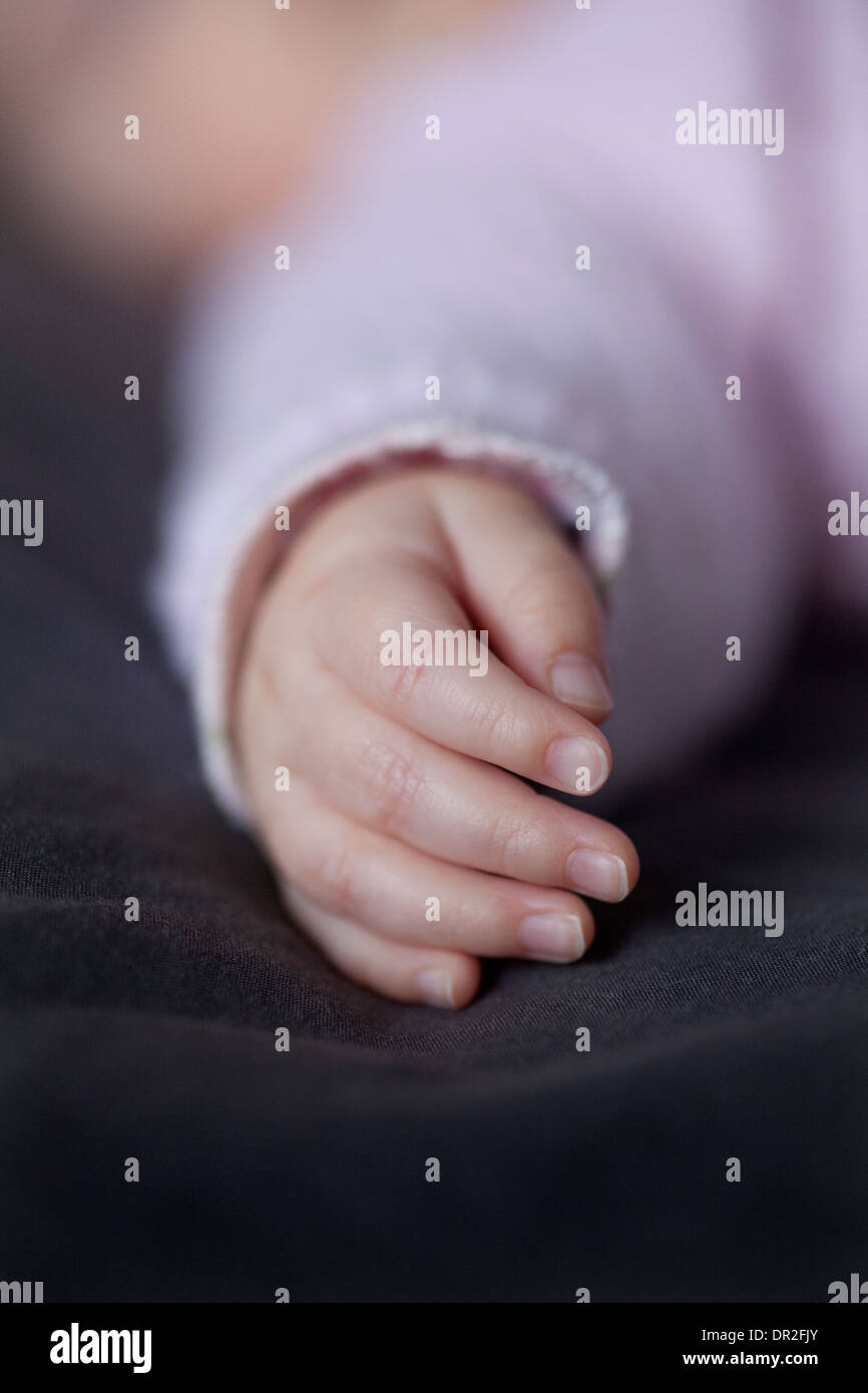 Close-up of a sleeping  baby's hand. Stock Photo