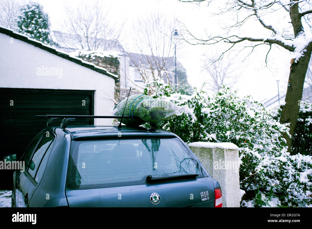 Car christmas tree roof rack hires stock photography and images Alamy