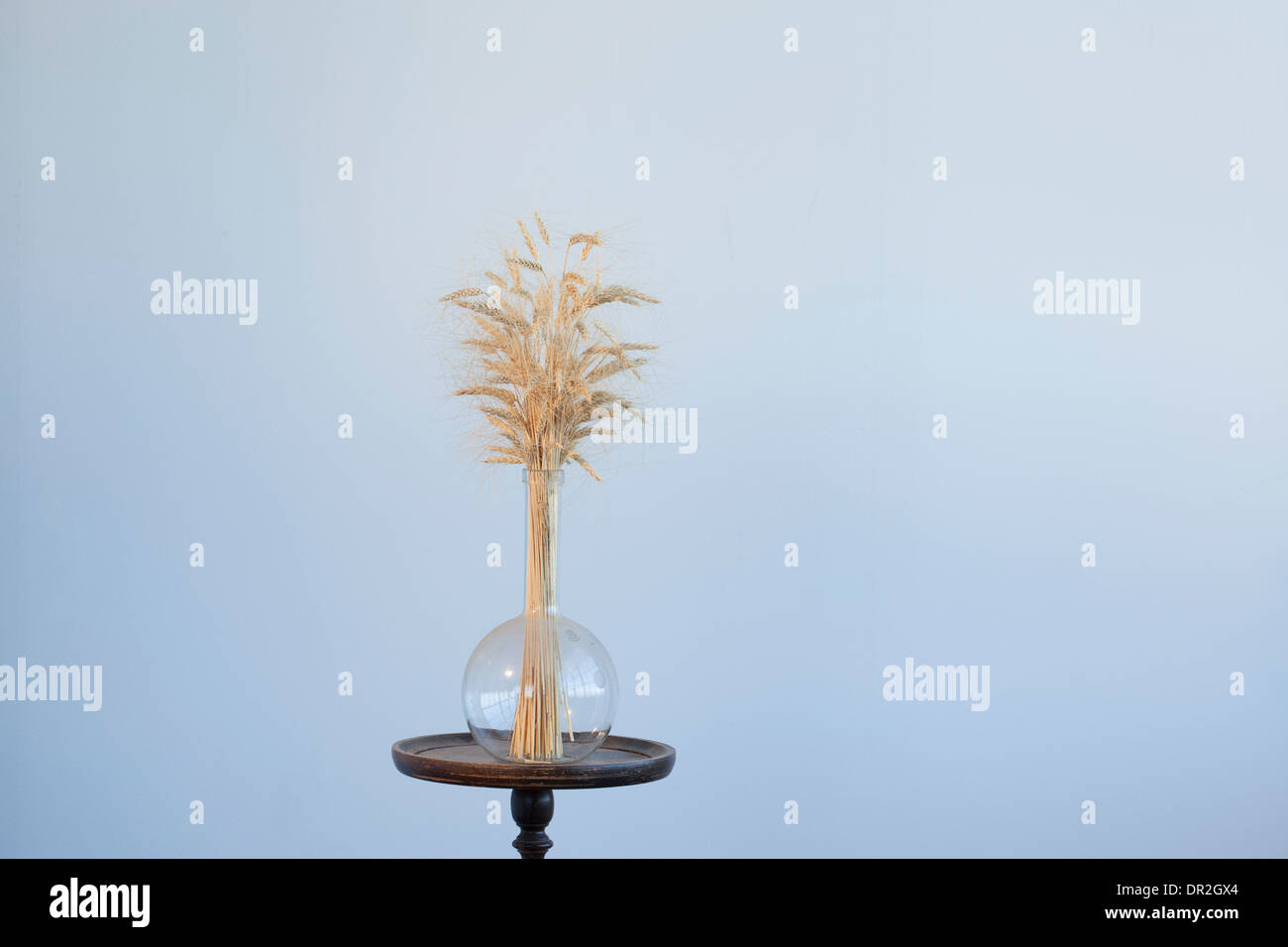 dry wheat in a glass flask on a wooden stand Stock Photo