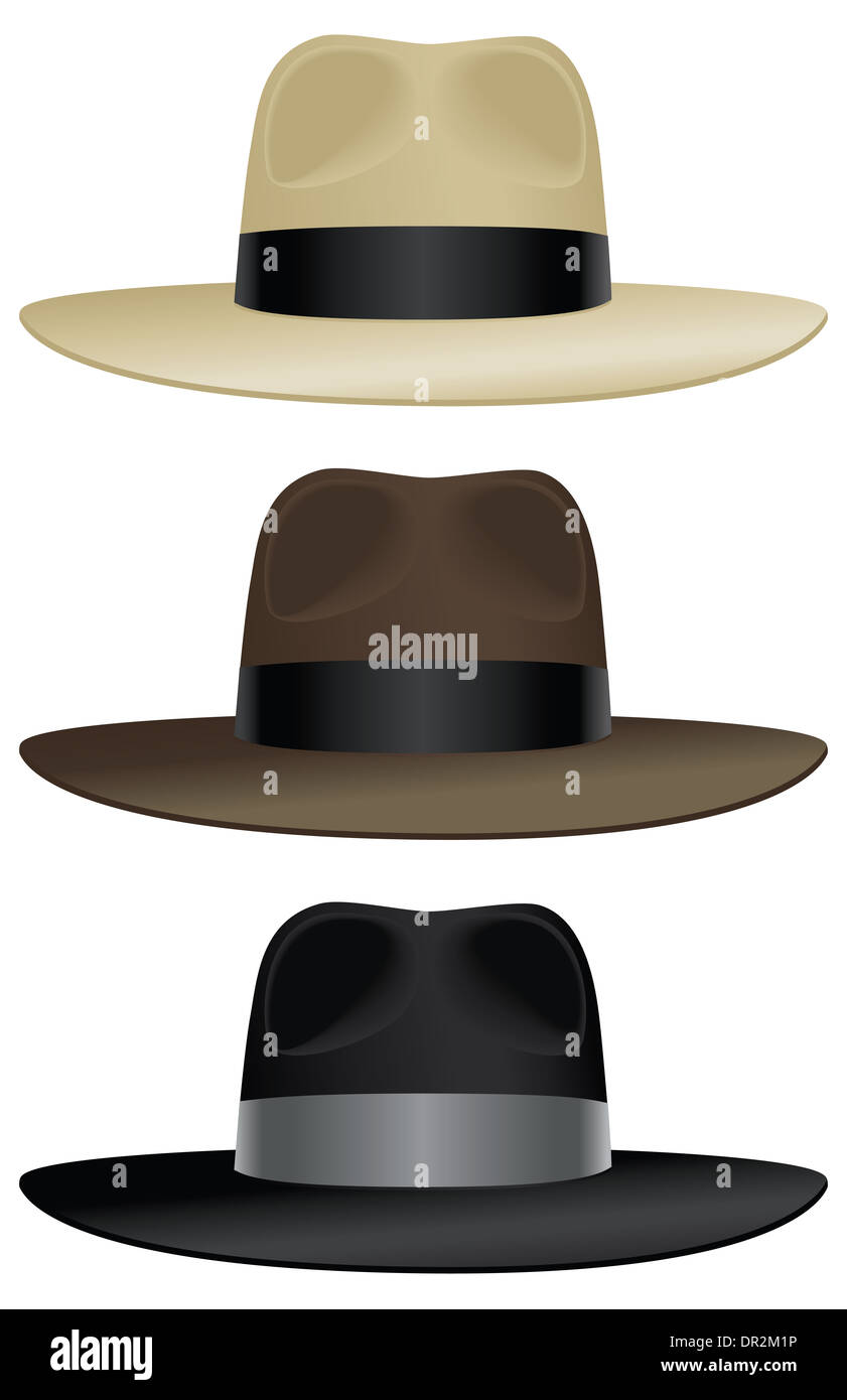 A wide brimmed fedora in classic colors. Stock Photo