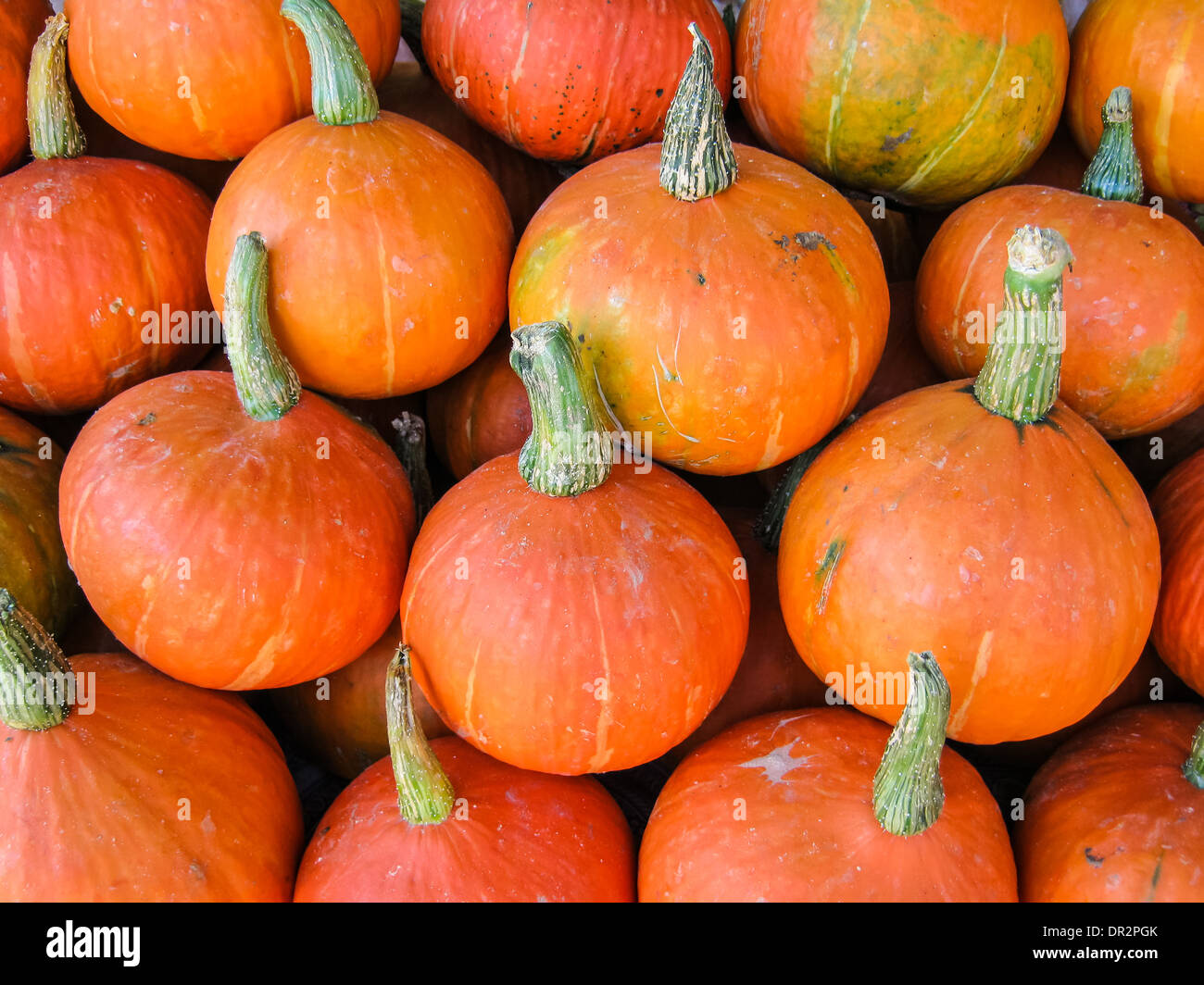 7ep●RANKING PUMPKIN YOKO / JAP-A-MAAKAN 7ep○RANKING PUMPKIN YOKO / JAP-A-MAAKAN An art island in