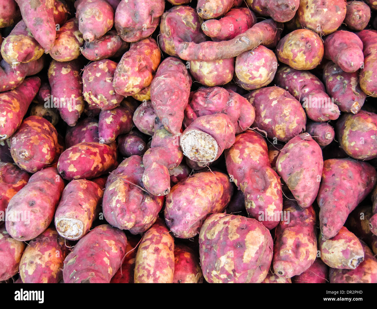 Texture , Fresh Sweet Potatoes Yams Stock Photo Alamy