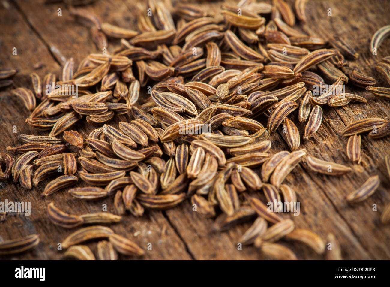 Spice cumin in extreme macro, detail Stock Photo
