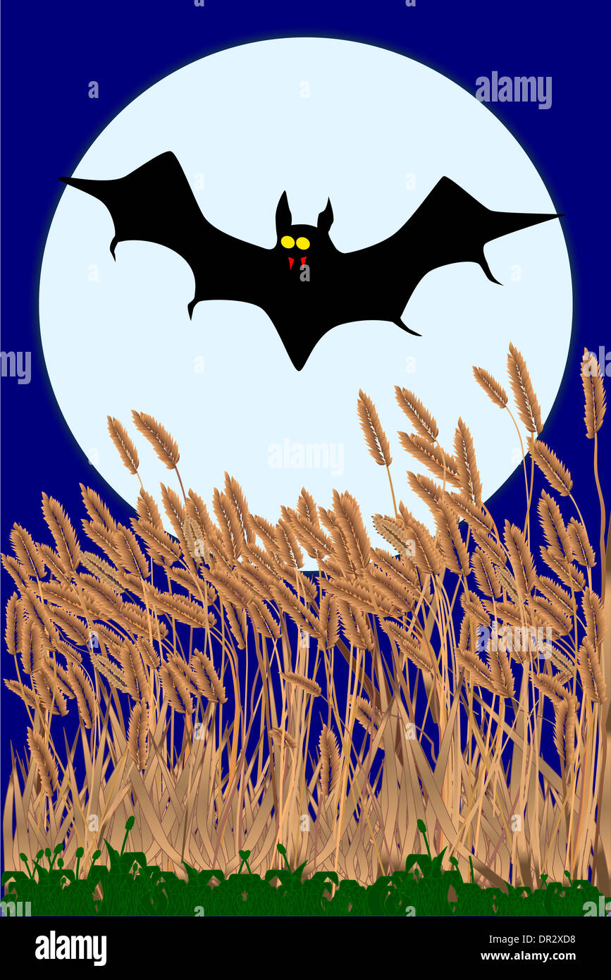 A bat flying over a field of long grass Stock Photo