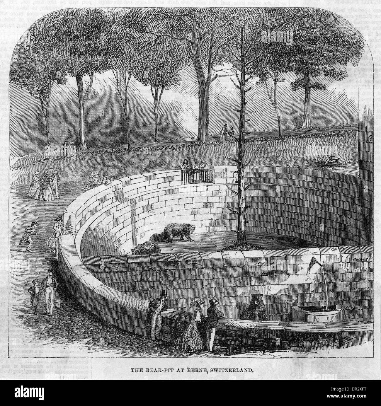 The bear pit in bern hi-res stock photography and images - Alamy