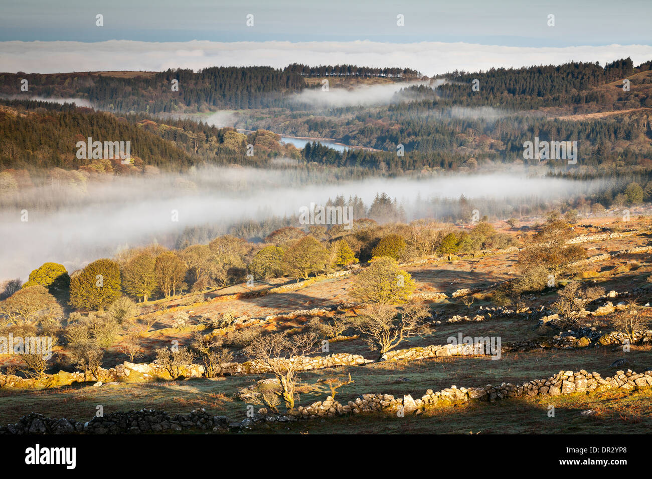 Fog in the valley at Burrator reservoir on Dartmoor Stock Photo