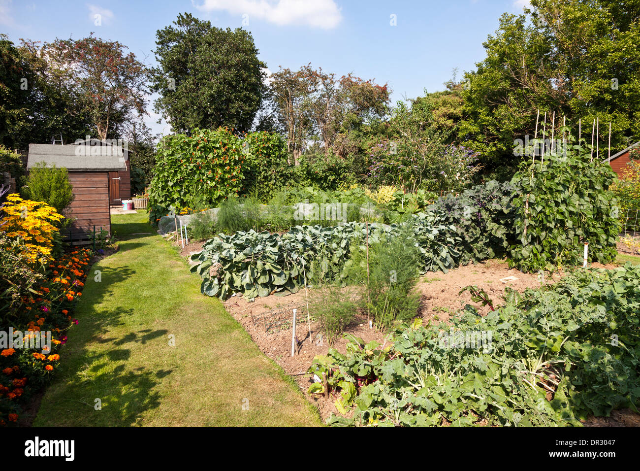 Traditional vegetable patch in an English garden Stock Photo