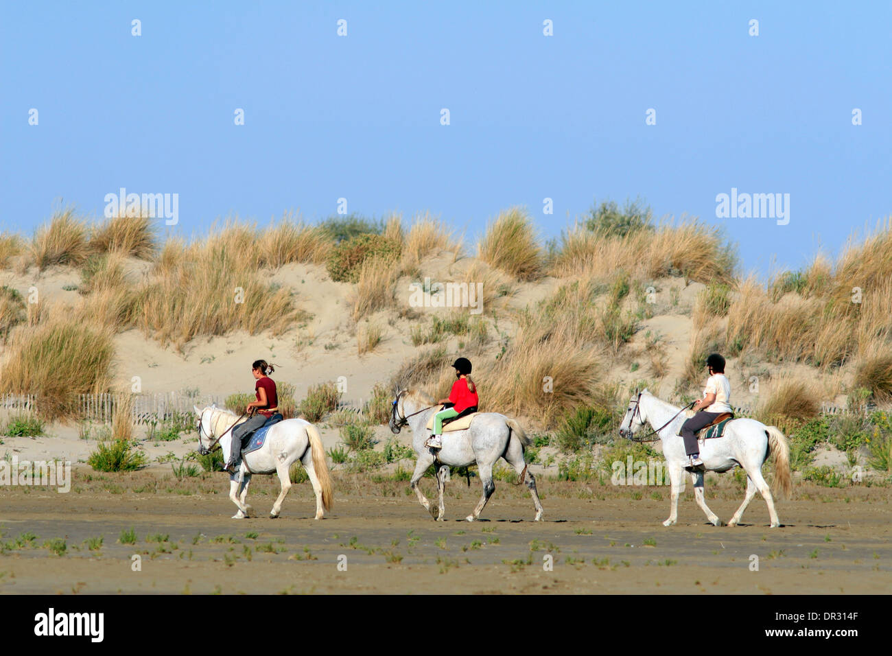 Leisurely walk on the Beach Espiguette, Le Grau du Roi, Languedoc Roussillon, France Stock Photo