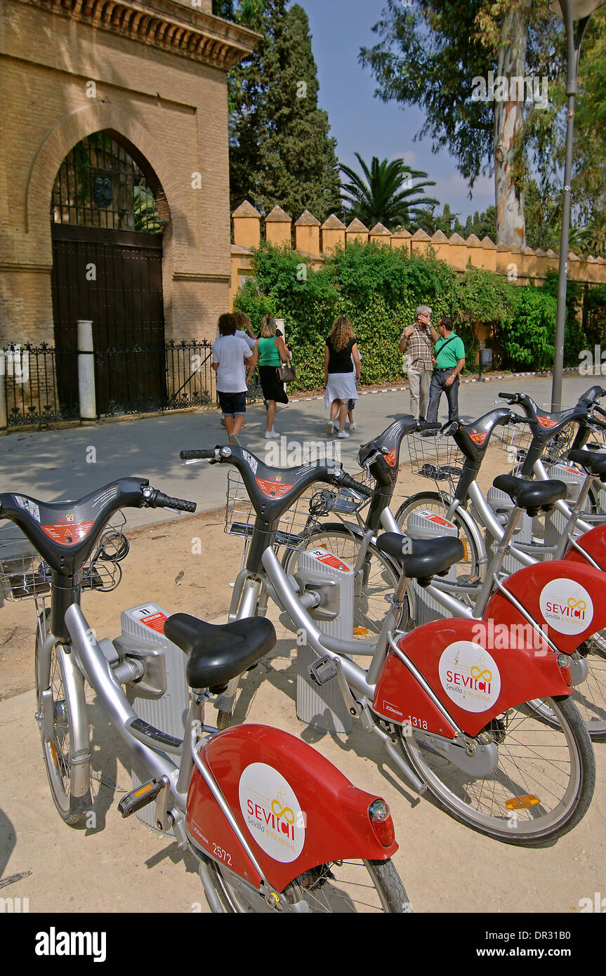 Public Bicycles and Royal Alcazar, Seville, Region of Andalusia, Spain, Europe Stock Photo