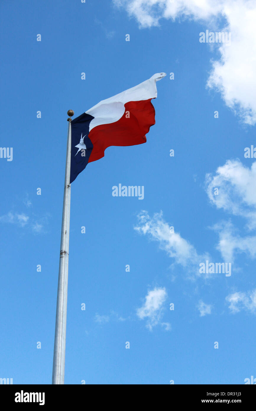 File:They carried a Texas flag and a Rammstein flag.jpg