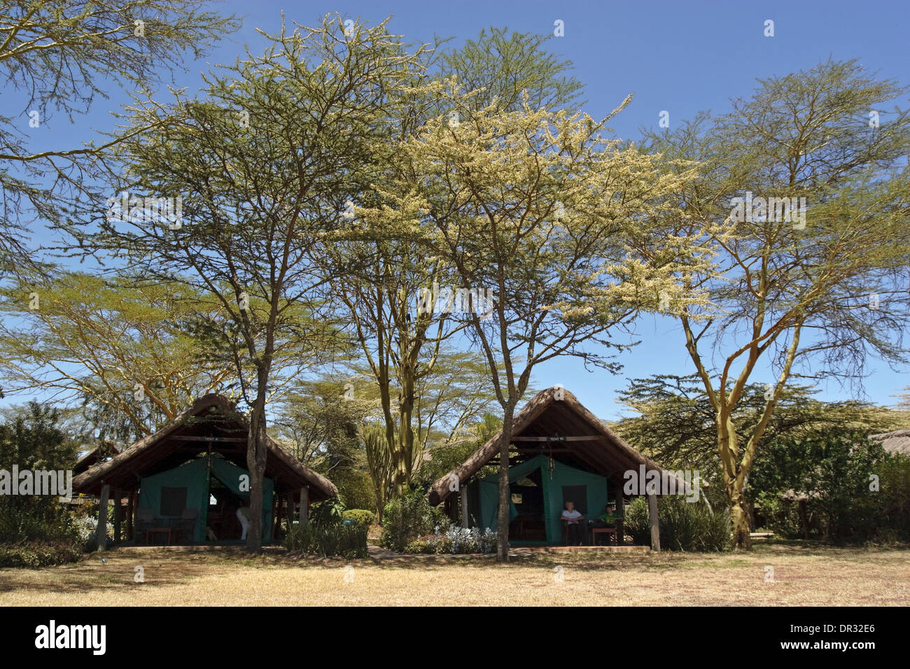Sweetwaters Serena tented Camp, Ol Pejeta Conservancy, Nanyuki, Mount kenya Stock Photo