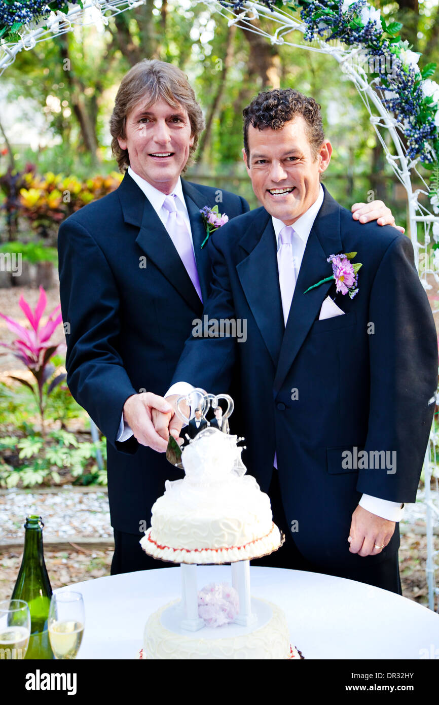 Handsome gay couple cutting the cake at their wedding reception.  Stock Photo