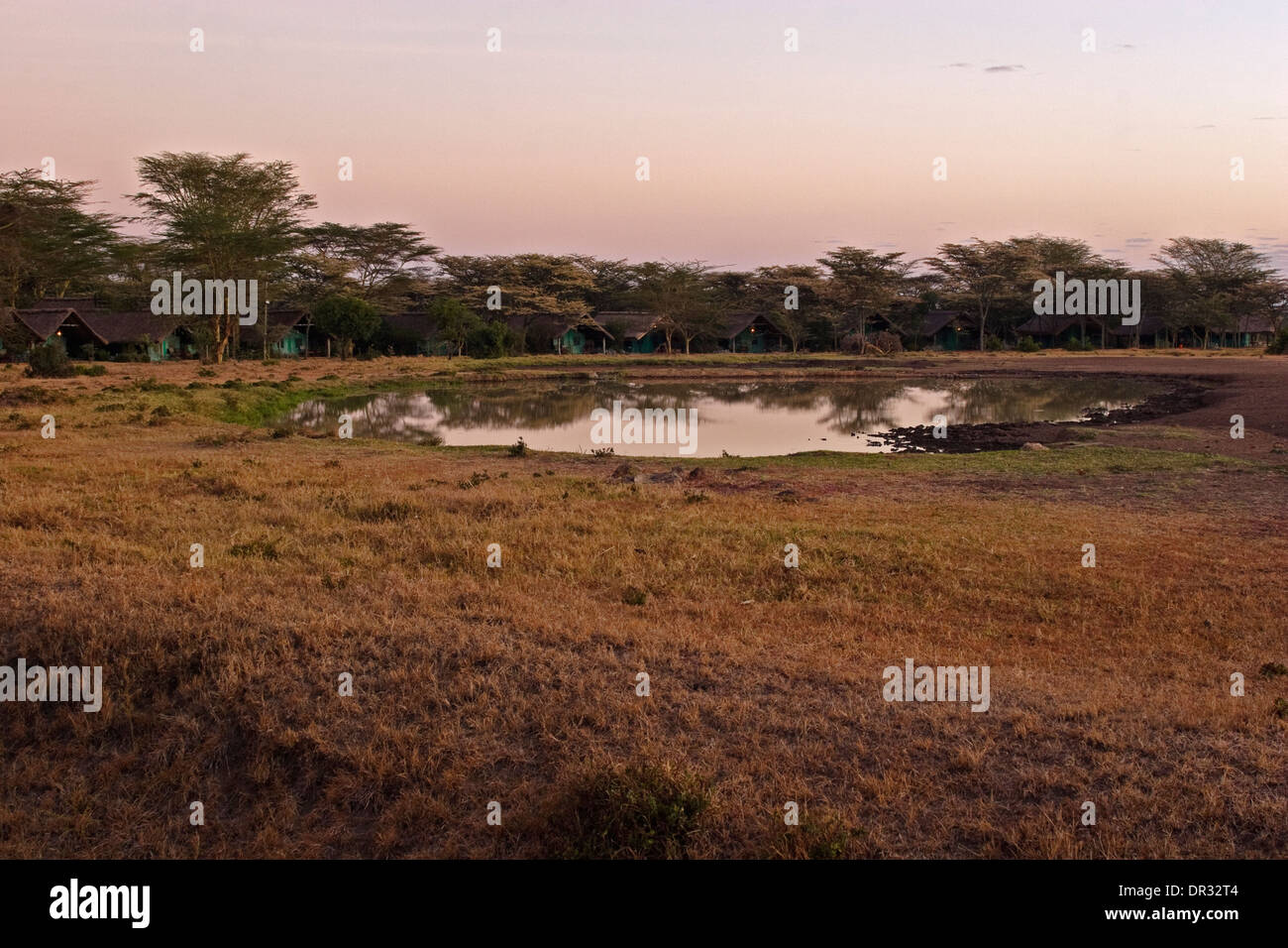 Waterhole at sunrise by Sweetwaters Serena tented Camp, Ol Pejeta