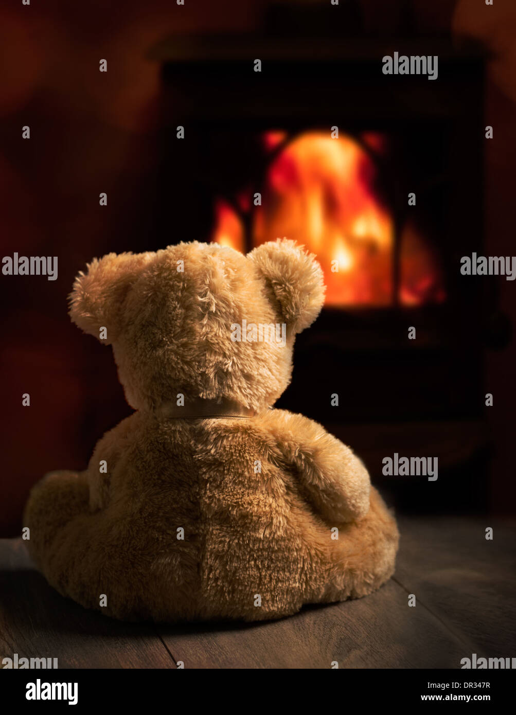 warming teddy bear