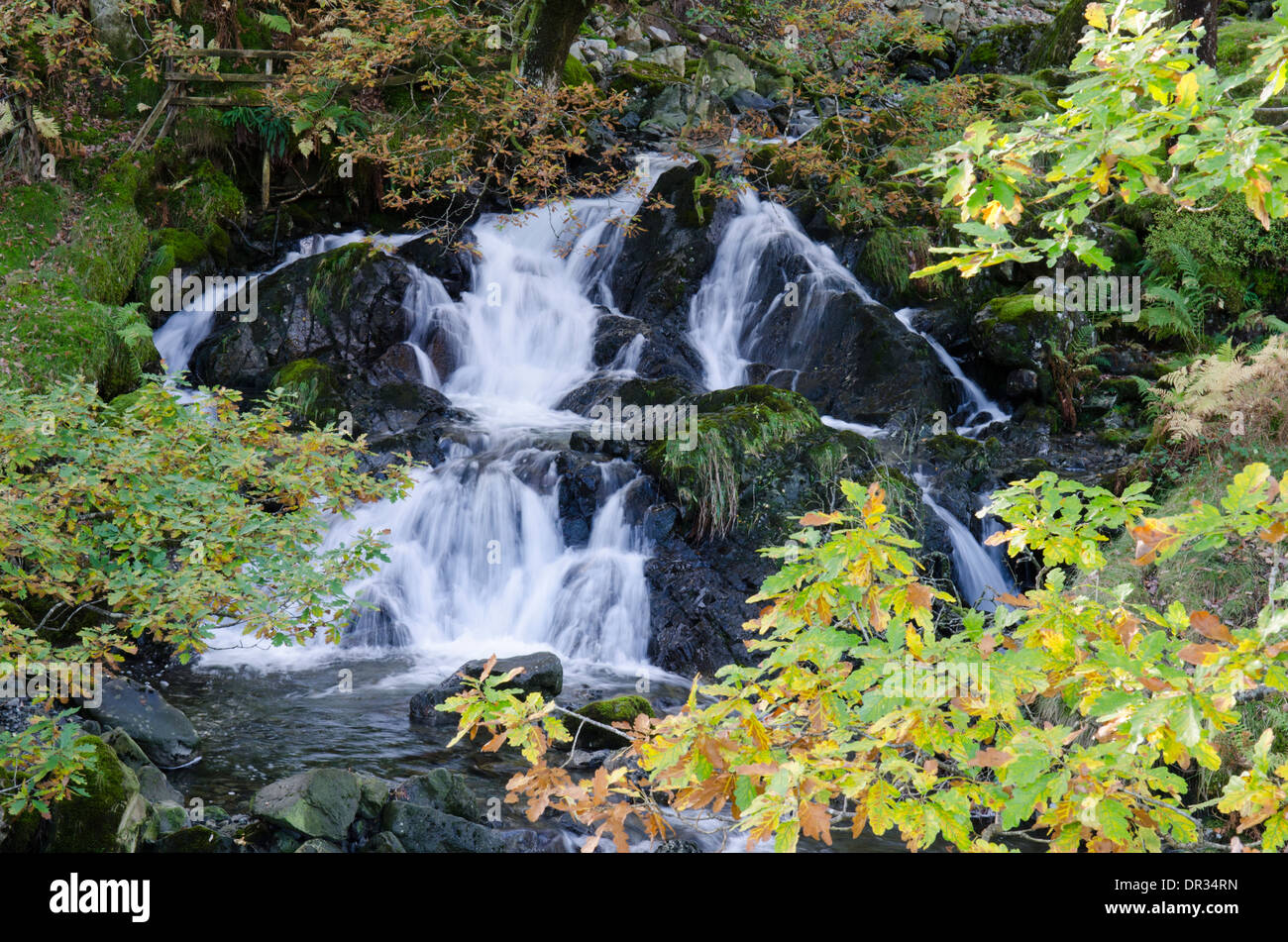 Waterfall on Hause Gill above Seatoller, Borrowdale. Cumbria, The Lake District, UK. October. Stock Photo