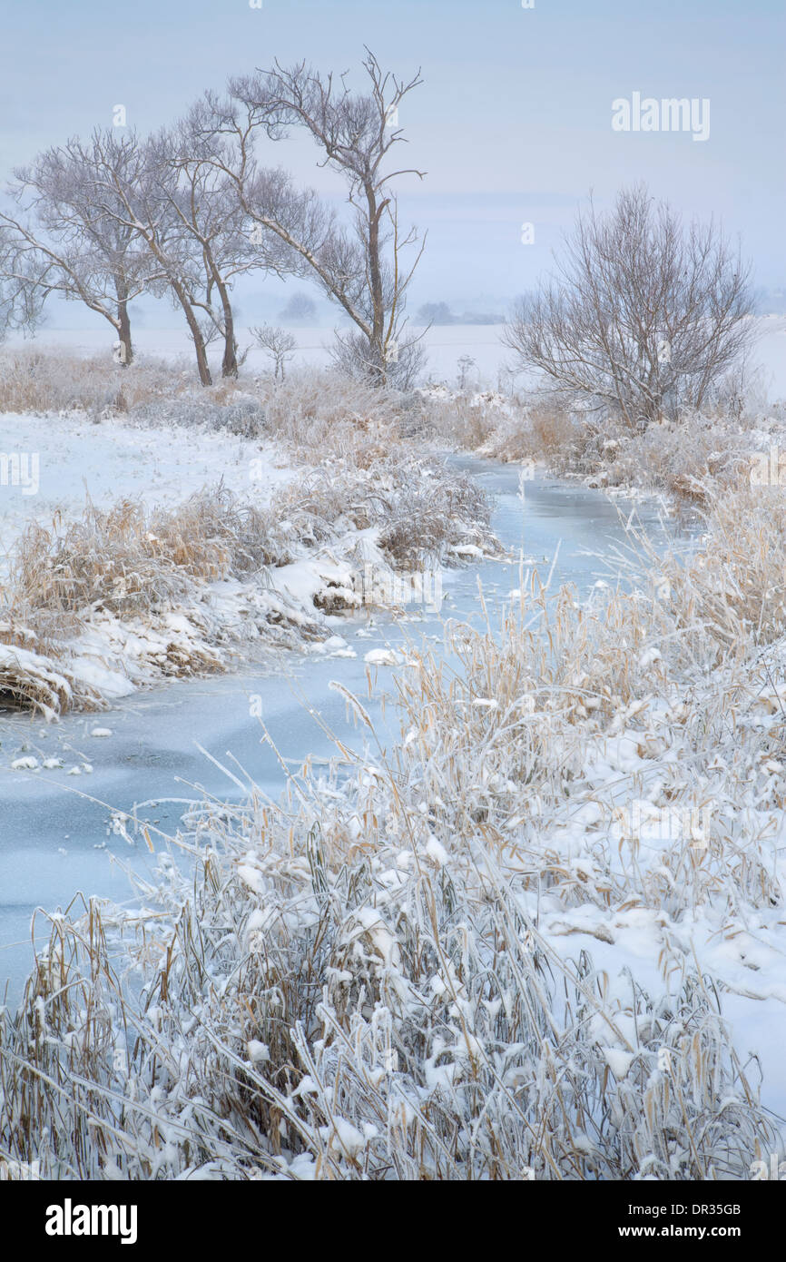 A very cold winter freezes Bourne Brook, Defford. Snow rests on the reeds, trees and fields. Stock Photo