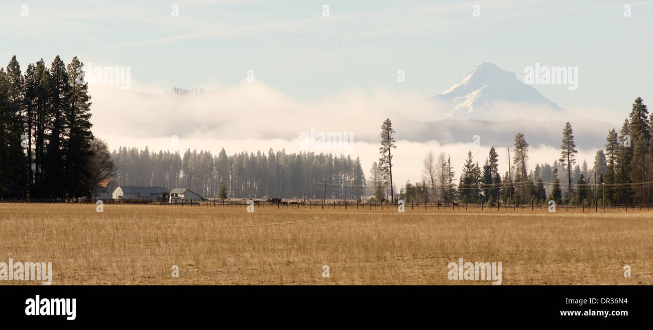 The low land northeast from Mt Hood makes viewing this mountain very easy and common Stock Photo