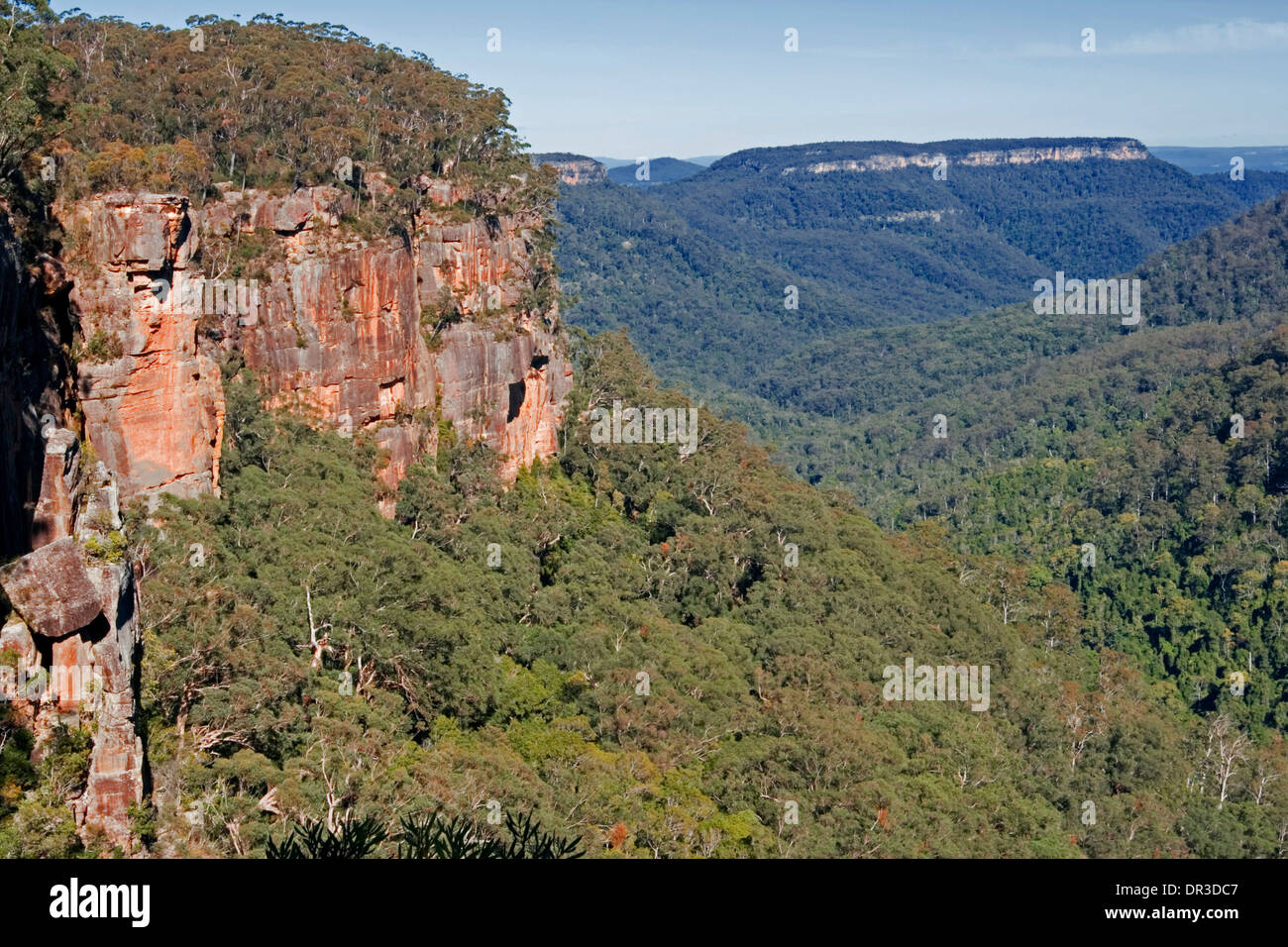 Spectacular view of mountains and forested valleys of Great Dividing Range from lookout in Morton National Park NSW Australia Stock Photo