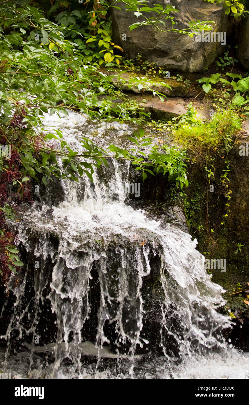 Splashing and foaming water falling and streaming down a with plants overgrown waterfall in summer Stock Photo