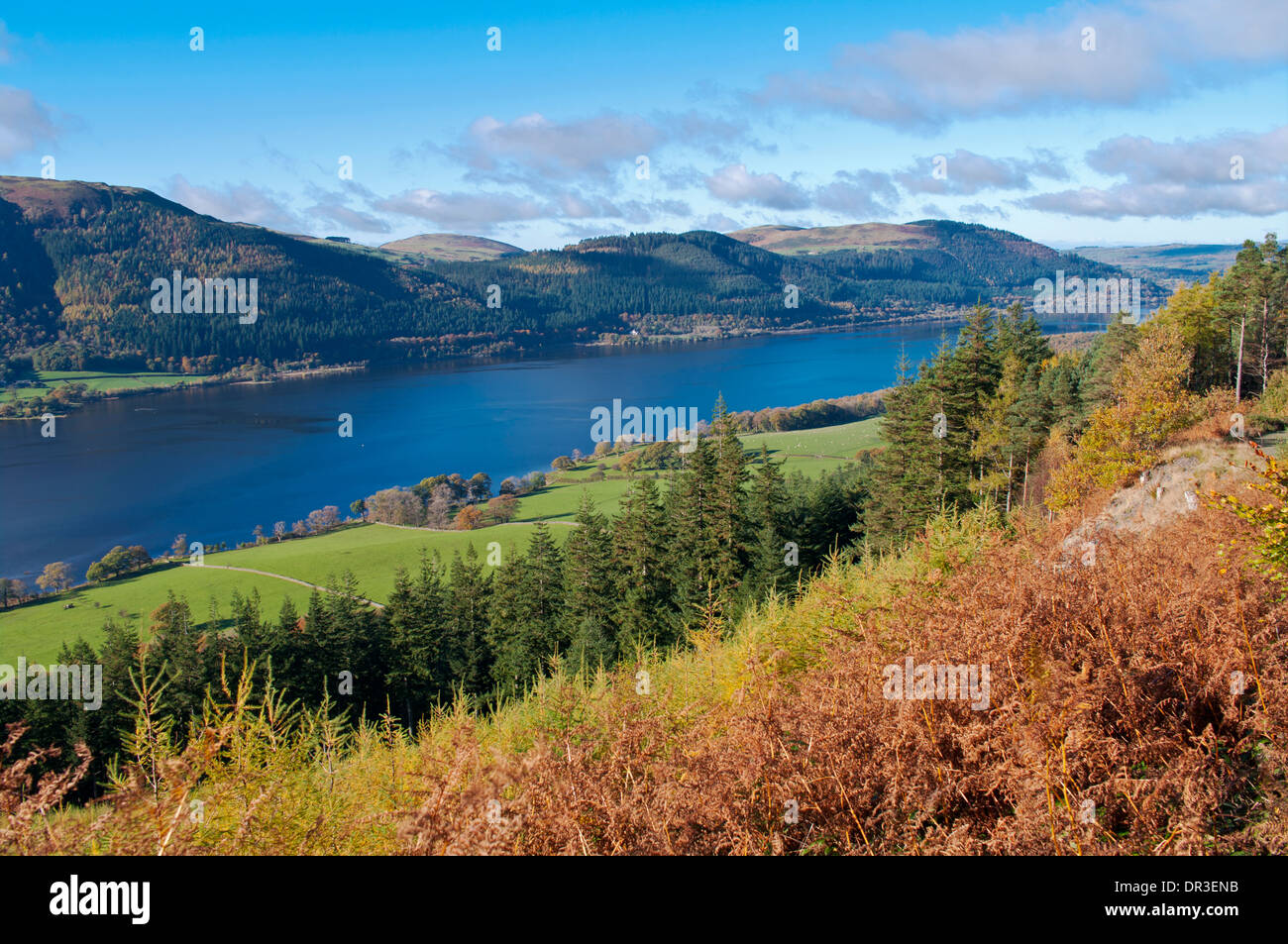 Lake Bassenthwaite and lakeside meadows seen from Dodd Wood, autumn, Lake District National Park, Cumbria, England, UK Stock Photo