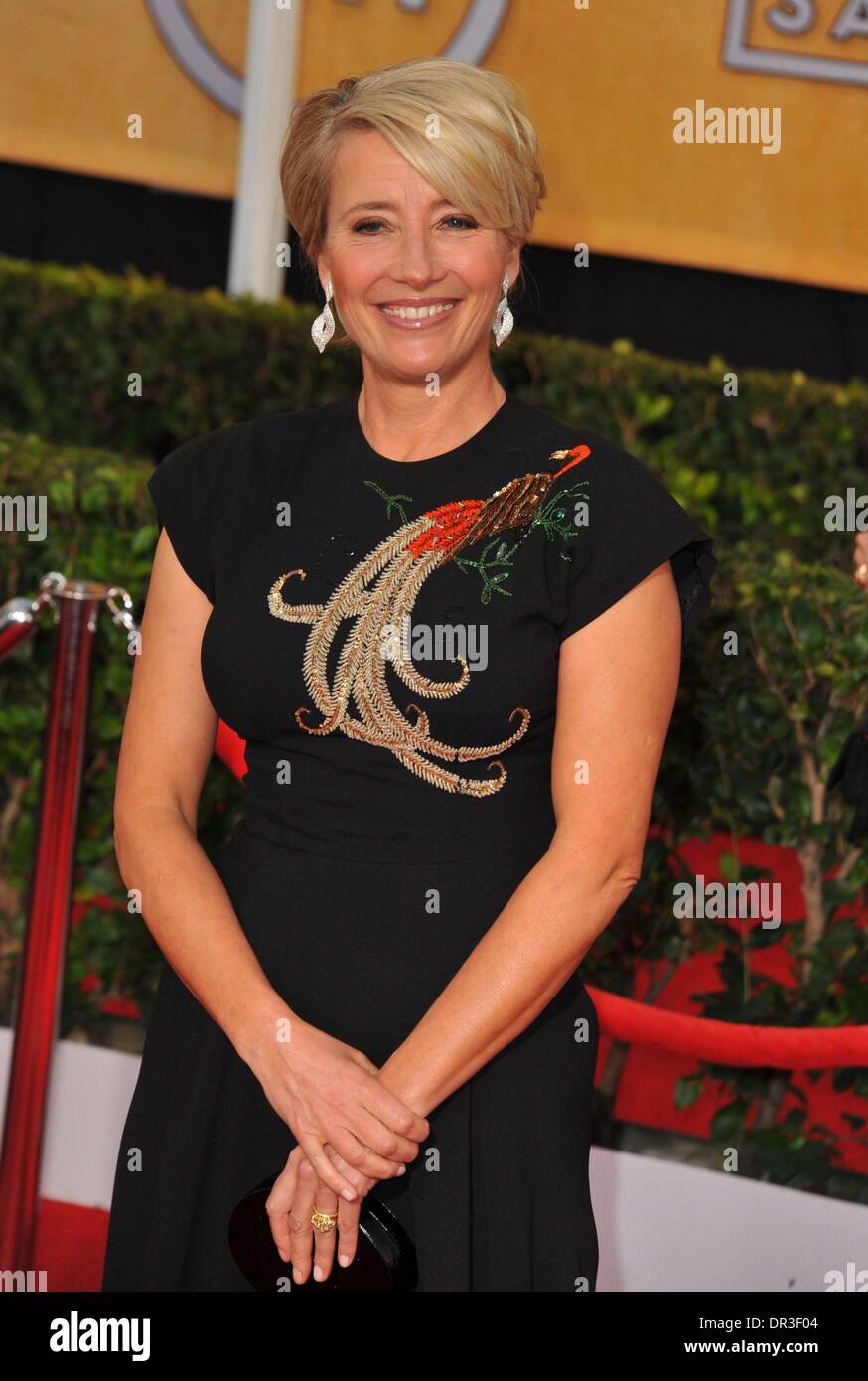 Los Angeles, CA, USA. 18th Jan, 2014. Emma Thompson in the press room for The 20th Annual Screen Actors Guild Awards (SAGs) - ARRIVALS 2, The Shrine Auditorium, Los Angeles, CA January 18, 2014. Credit:  Dee Cercone/Everett Collection/Alamy Live News Stock Photo