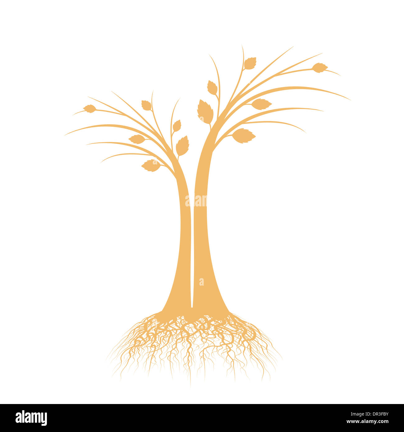 art tree silhouette isolated on white background Stock Photo - Alamy