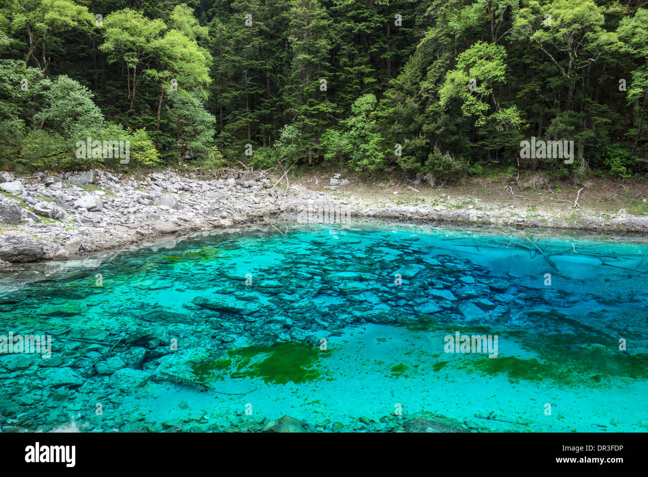 Colorful lake in Jiuzhaigou, Sichuan,China Stock Photo
