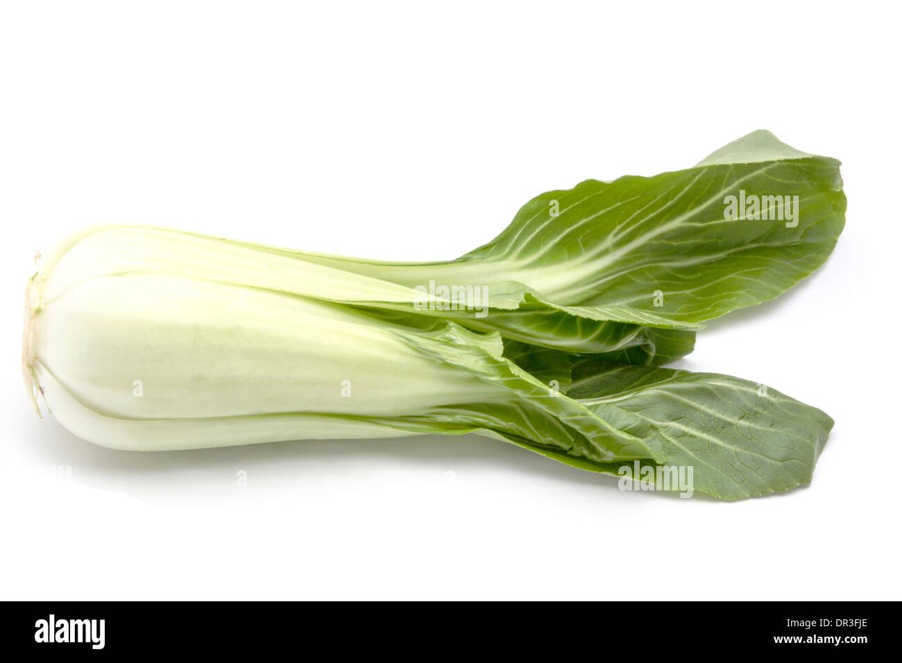 chinese cabbage isolated on white background Stock Photo