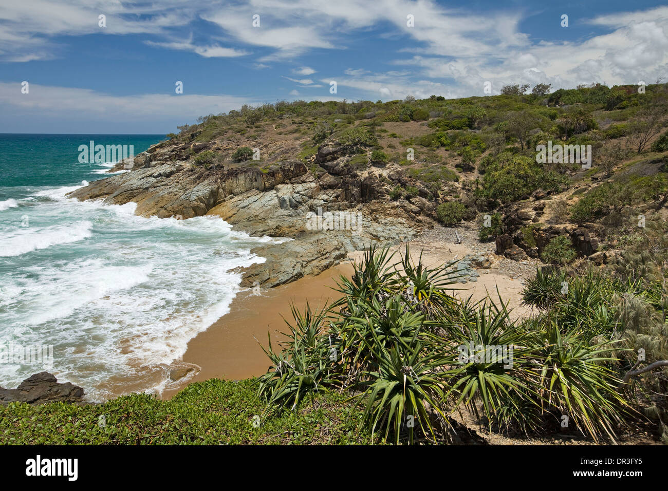 Coastal landscape with pandanus palms beside secluded rocky bay and