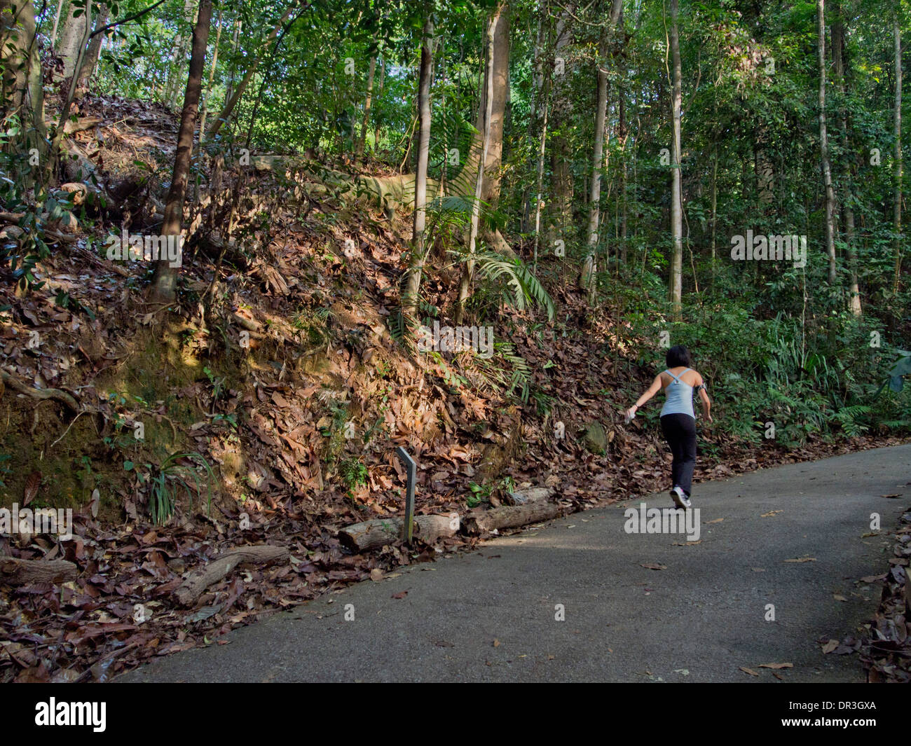 Woman Trekking In The Bukit Timah Nature Reserve In Singapore Stock Photo Alamy