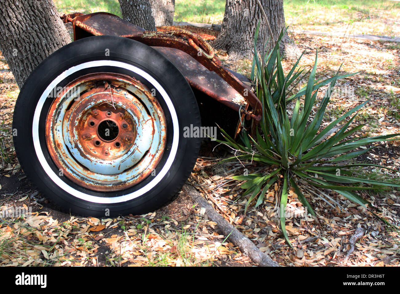 Spare wheel on Xeriscape Stock Photo