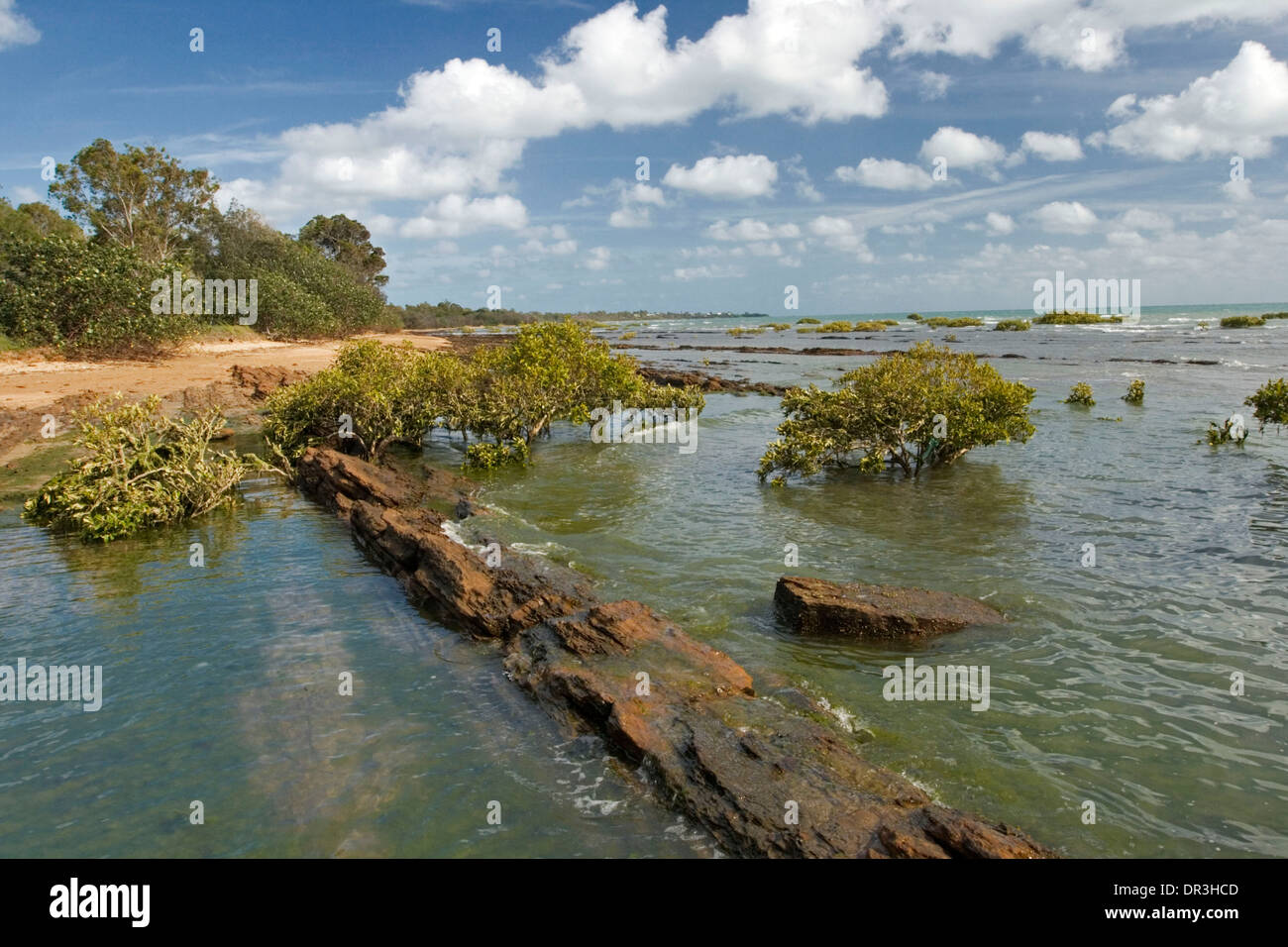 Sandy beach, rocks, and low mangrove trees sprouting from calm blue water under blue sky at Pialba, Hervey Bay, Queensland Stock Photo