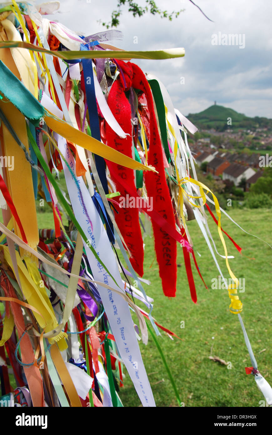 The Holy Thorn Tree Of Glastonbury High Resolution Stock Photography