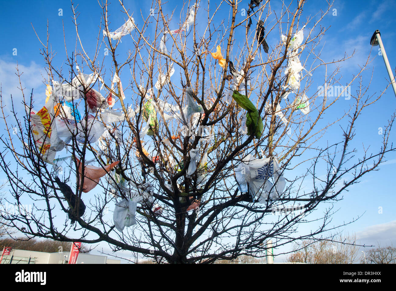 superstore plastic bolsa recycling