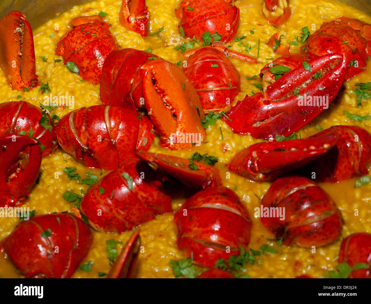Lobster spain hires stock photography and images Alamy