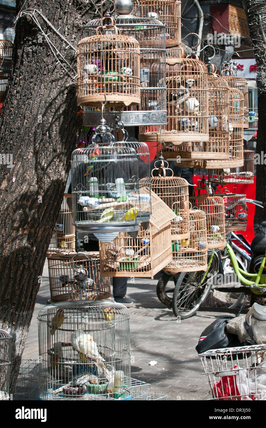 Birdcages in front of pet shop in Shanghai, China Stock Photo