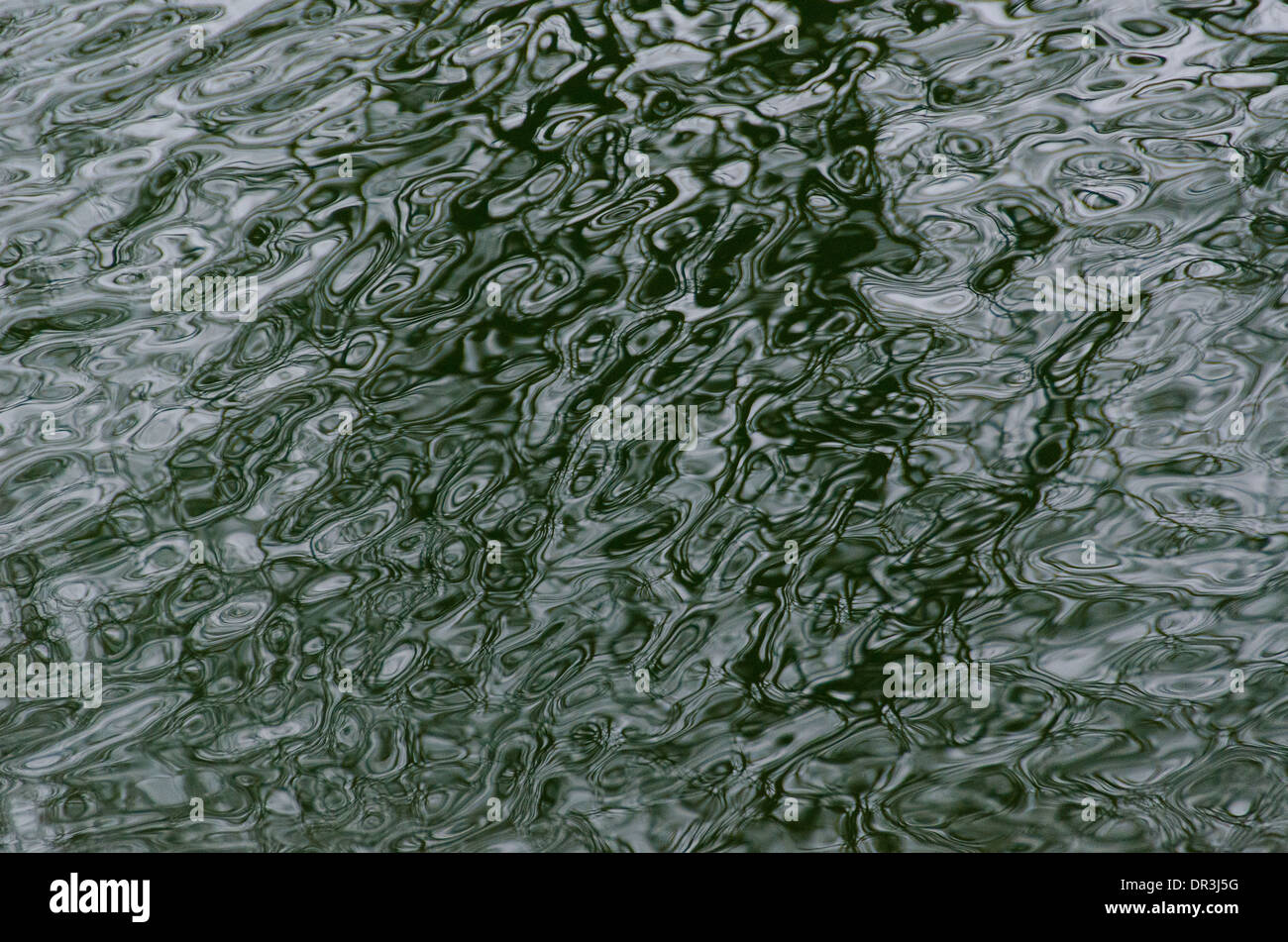 Complex green water ripple background pattern with shadow from a tree ...