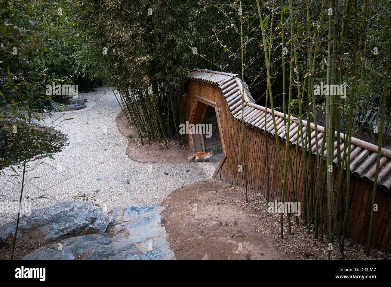 bamboo gate in Zizhuyuan Park commonly known as Purple or Black Bamboo Park in Haidian District, Beijing, China Stock Photo