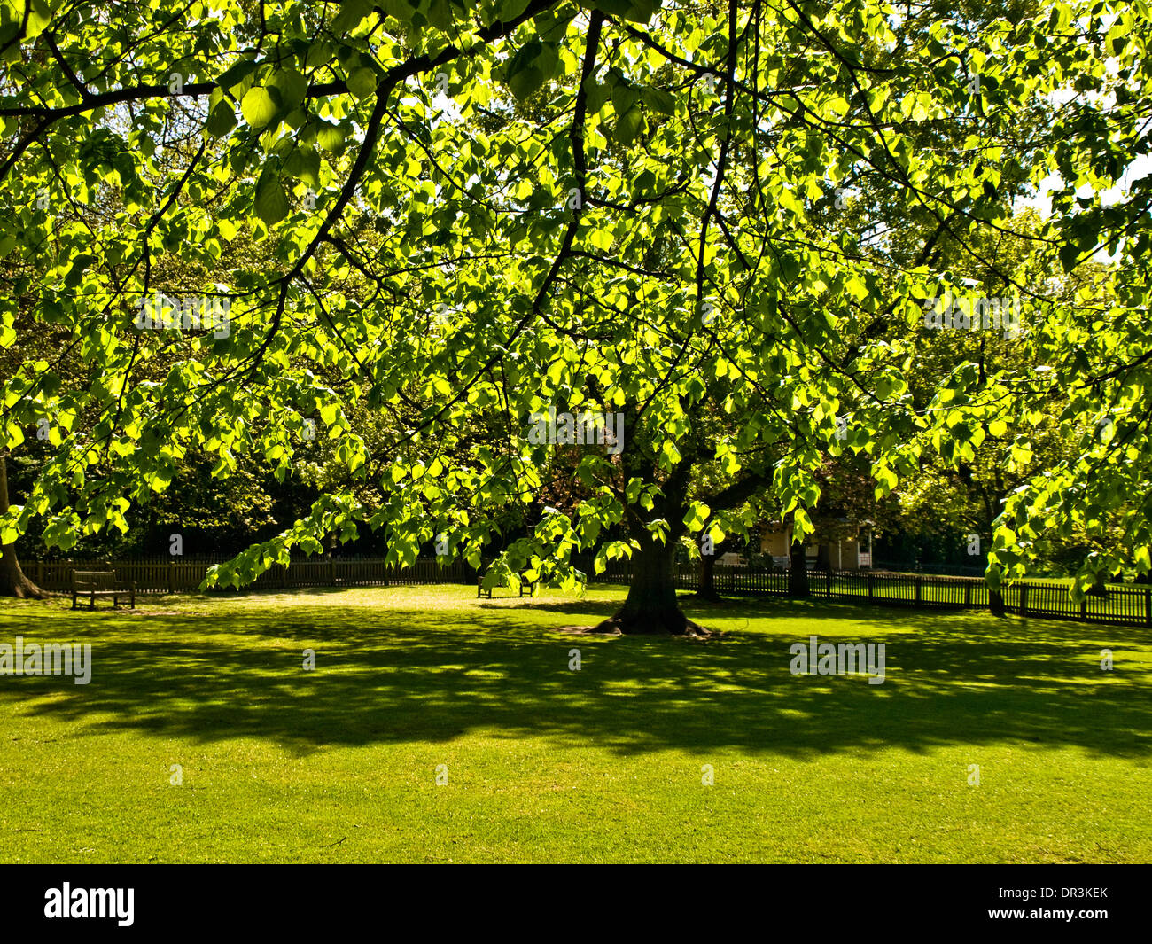 Marble Hill Park, Twickenham, London, England Stock Photo