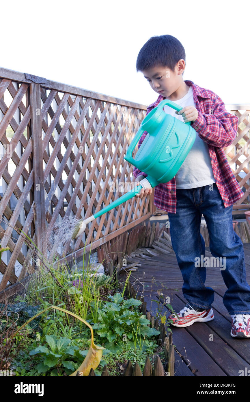 Boy watering plants Stock Photo - Alamy