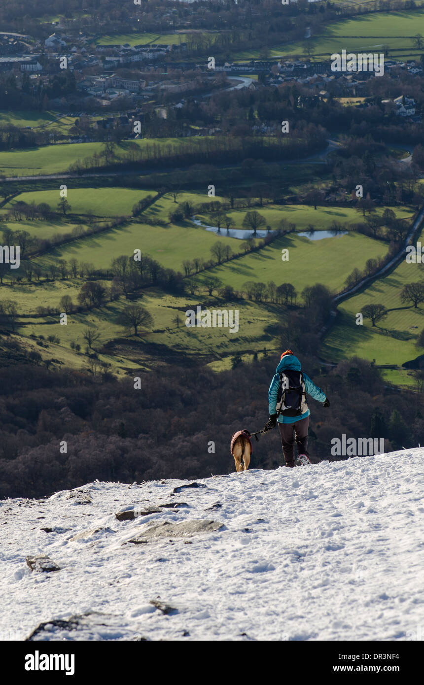 A woman walking down from Skiddaw, towards Keswick with her dog in winter. Stock Photo