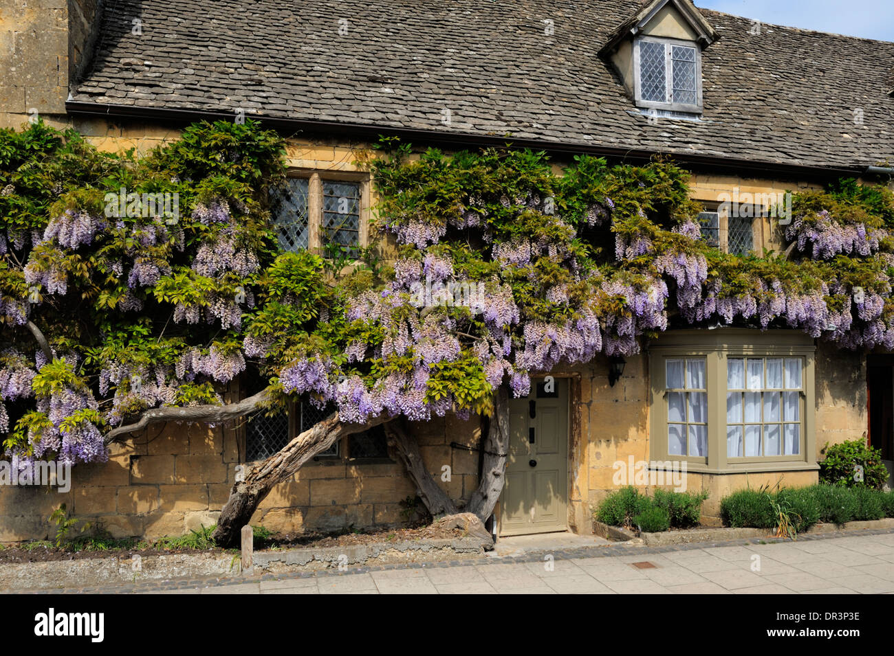 Wisteria cottage cotswold hi-res stock photography and images - Alamy