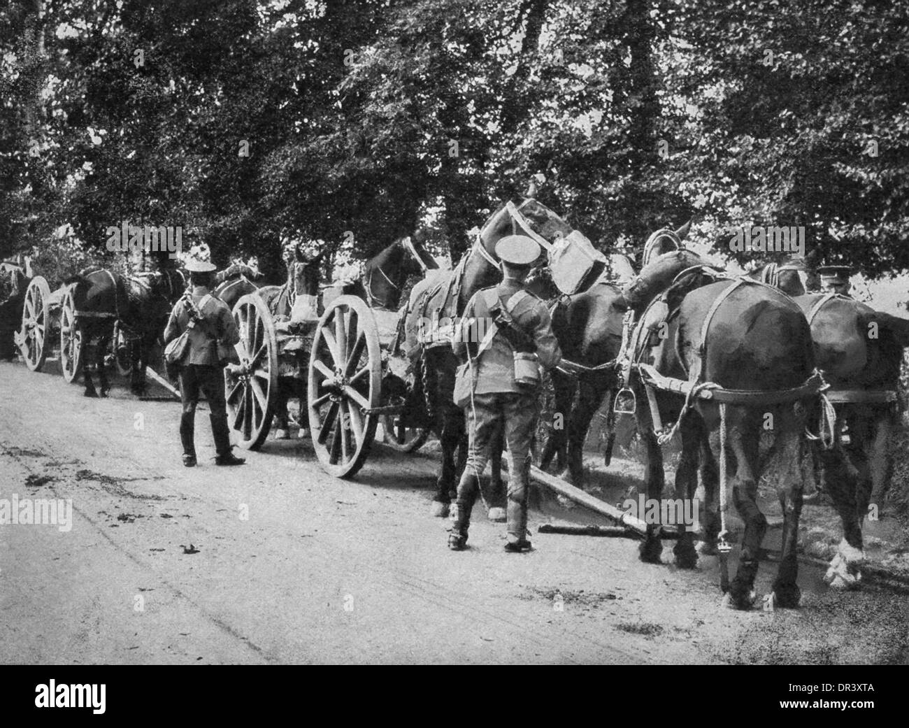 A British ammunition train in World War I stops along the road for the soldiers and animals to have lunch. Stock Photo